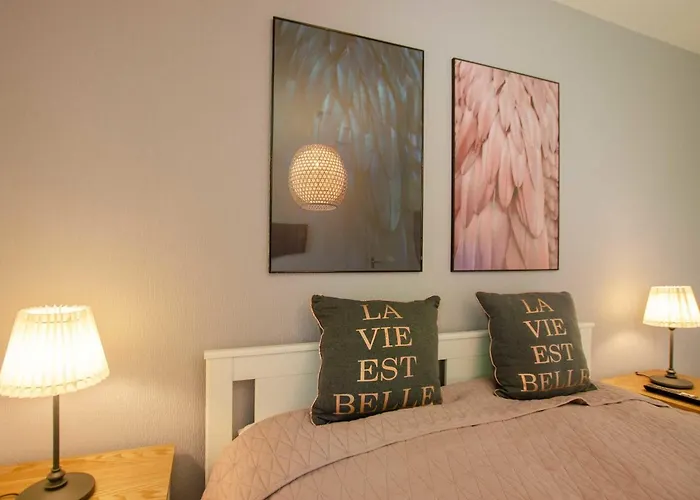 Rosi 巴特萨克萨