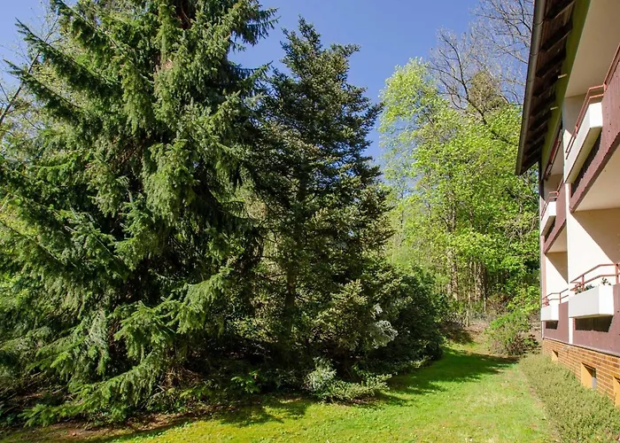 Rosi 巴特萨克萨