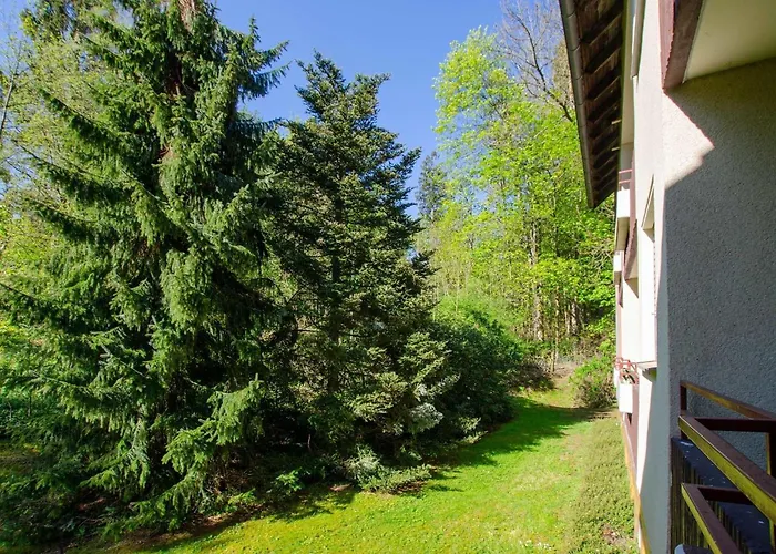 Rosi 巴特萨克萨